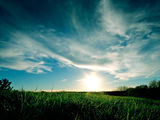 01537_grassysunset_1024x768.jpg