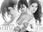 sunny_leone_001_1280x960.jpg