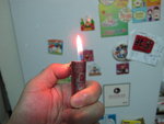 torch22May12 003.jpg