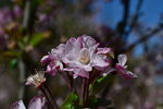 DSC_0114.JPG