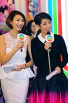 TDC-TVB-1503d1_150.JPG