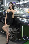 DSC09530.JPG