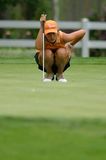 michelle_wie_05_womens_open_9.jpg