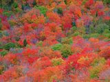 autumn-nature-wallpaper-22.jpg