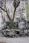 DSC_0653.JPG