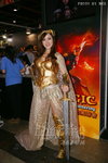 DSC00528.jpg