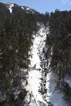 DSC_0337.JPG