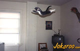 Flying cats look funny.jpg