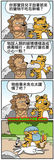 動物檢驗.jpg