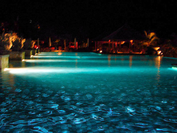 Ritz Carlton 晚上的pool.jpg