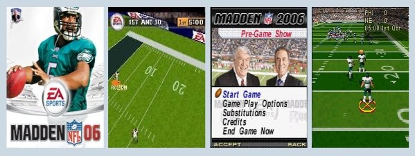 3D_EA_Sports_Madden_NFL06.jpg