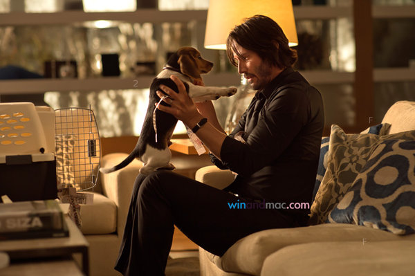 720x479xjohn-wick-movie-6.jpg.pagespeed.ic.-2-I-2RQI9.jpg