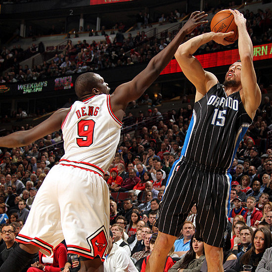 bulls2.jpg