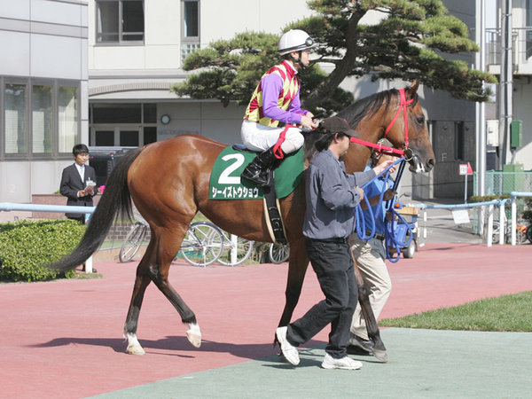 藤田小姐(日).jpg