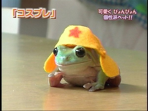 keroro.jpg