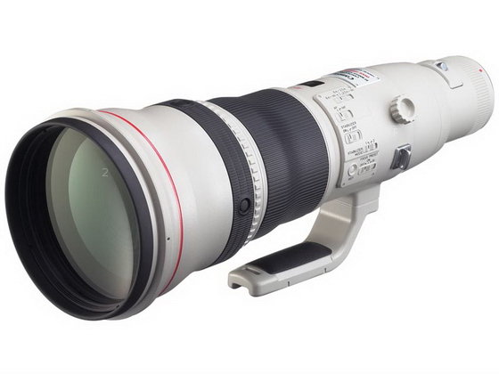 EF 800mm F5.6 L IS USM.jpg