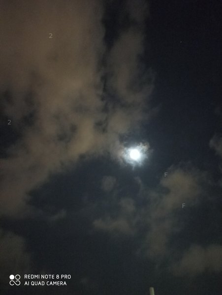 IMG_20210620_221008.jpg