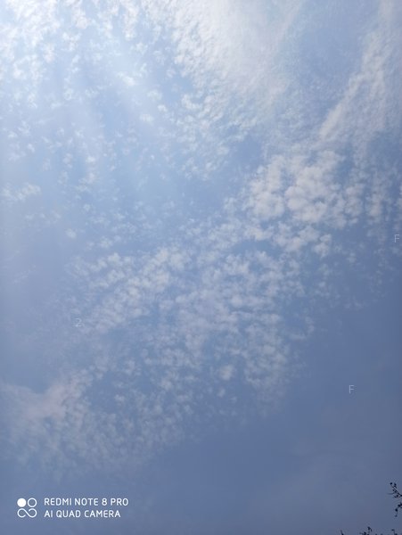 IMG_20200418_103639.jpg