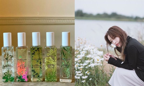 jomalone2_2066059385c2dd181a0ce2.jpg