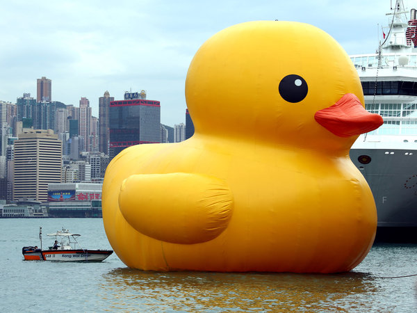 ducky062way-23e257dfd081032928ffbd73768a7ddd8615f1f3-s6.jpg