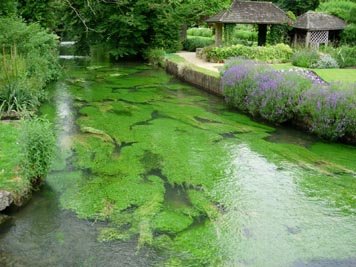 bibury5.jpg