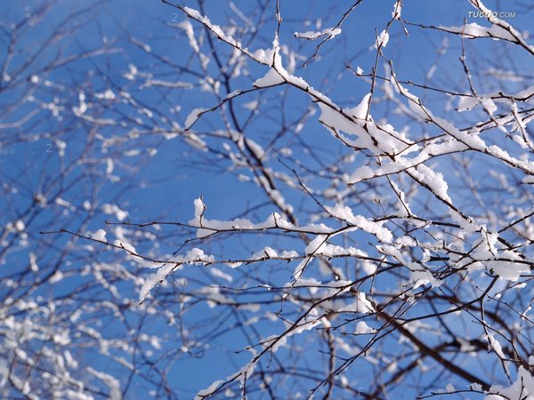 snow.jpg