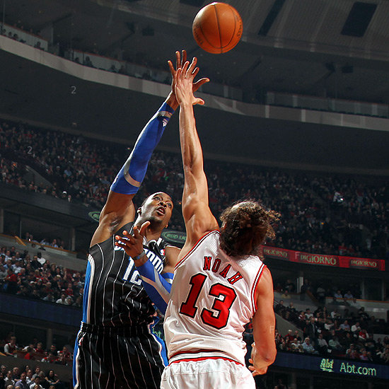 bulls3.jpg