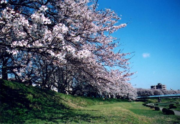 這條位於福并市的川流.jpg