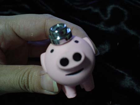 pig1.jpe