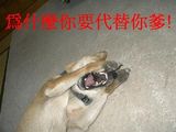 為什麼你要代替你爹.jpg