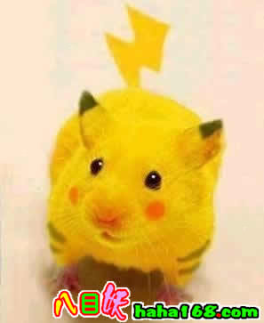 比卡超.jpg