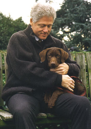 clinton_dog_buddy.jpg