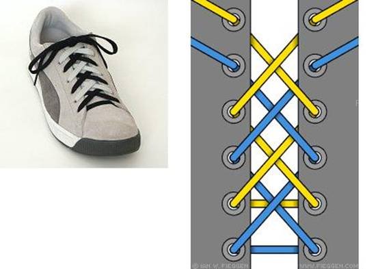 shoelace014.jpg