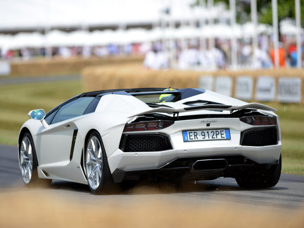 lamborghini_aventador-lp700-4-roadster-2013_r32_jpg.jpg